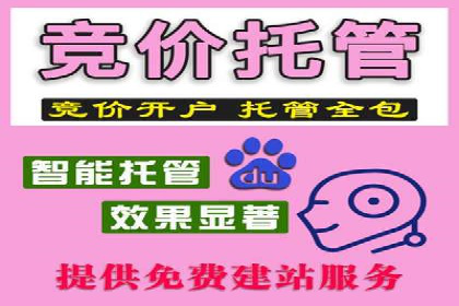 sem竞价推广托管成功案例：提升品牌知名度